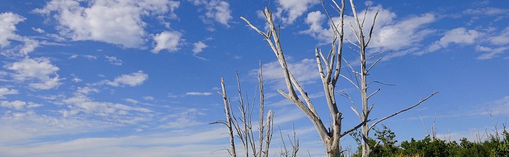Lovers Key - Fort Meyers