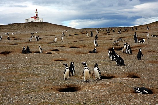 Fjords de Patagonie