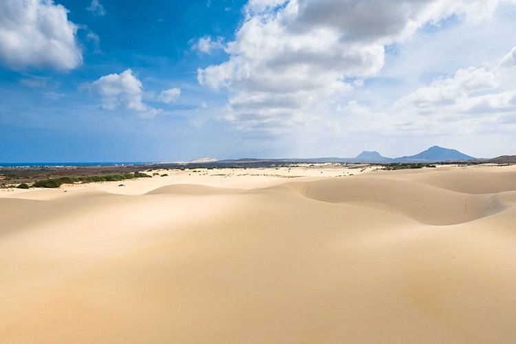 Le désert de Viana 