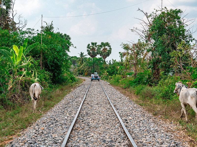 Bamboo Train (Norry)