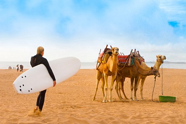 Initiation au surf à Essaouira