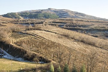 Région viticole de Tikves