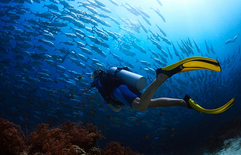 Faire de la plongée sous-marine