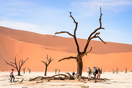 Marcher parmi les arbres fossilisés de Dead Vlei