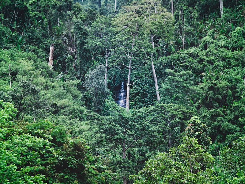 Parc national de Preah Monivong