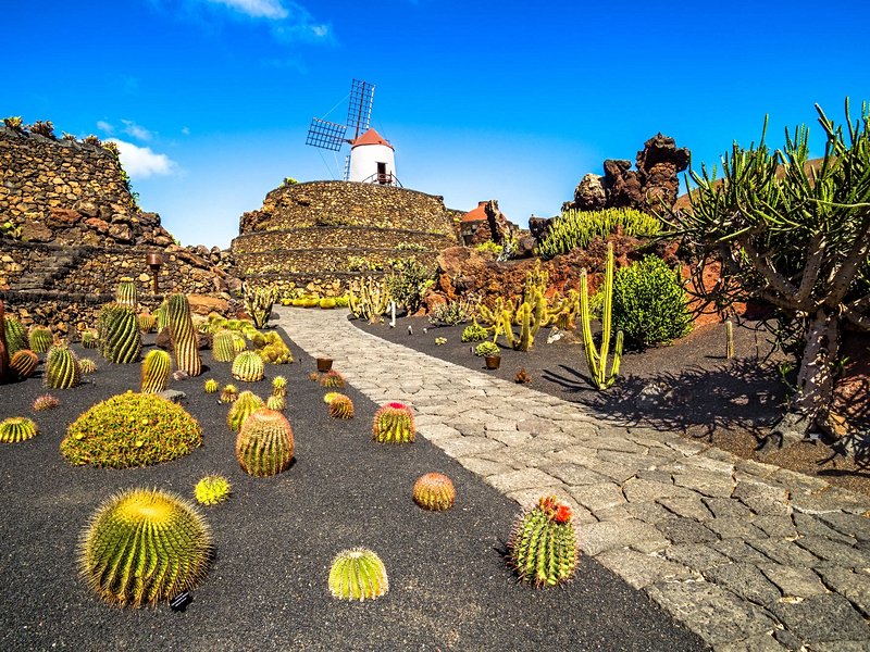 Jardin des Cactus