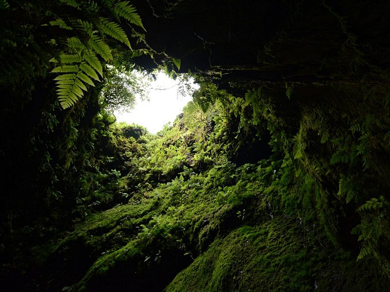 Algar do Carvao