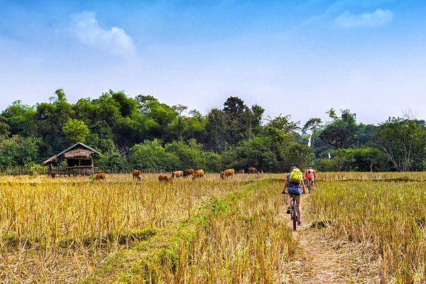 Découvrir les environs de Luang Prabang en VTT