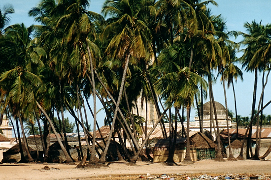 Niodior