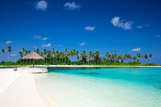 Prendre des bains de soleil au milieu des lagons