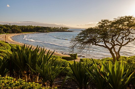 Plage de Kauna'oa