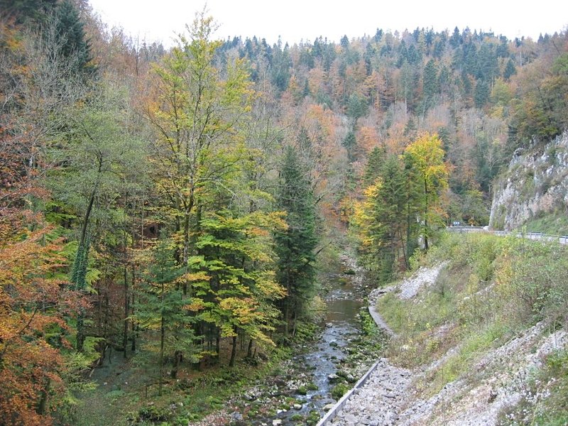 La Haute vallée de la Saine
