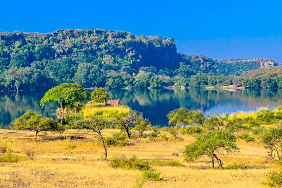 Parc national Jim Corbett
