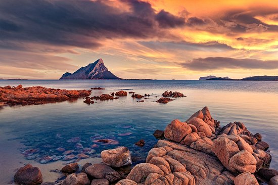 Île de Tavolara
