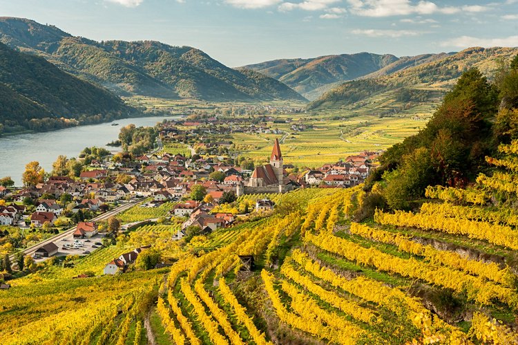 Route des vins de la vallée de Wachau - Autriche