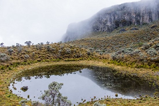 Parc national de Los Nevados