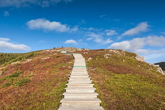Parc National des Hautes-Terres-du-Cap-Breton
