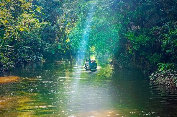 Naviguer en pirogue en Amazonie