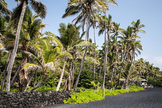 Punalu'u beach