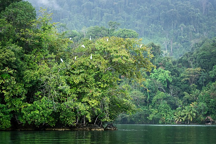 Le Rio Dulce 4