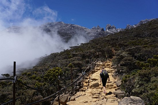 Parc national mont Kinabalu