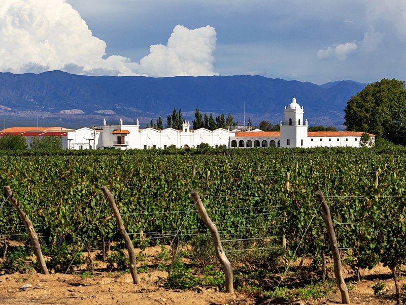 Mendoza