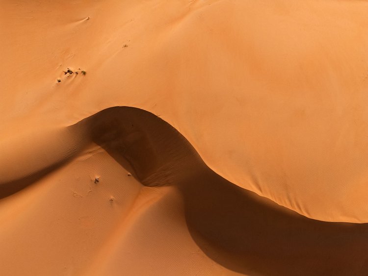 Désert d’Oman, Sharqiya Sands 4