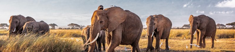 Quand partir au Kenya ? Climat, Températures et Météo