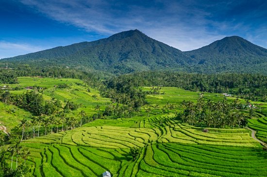 Jatiluwih (Bali)