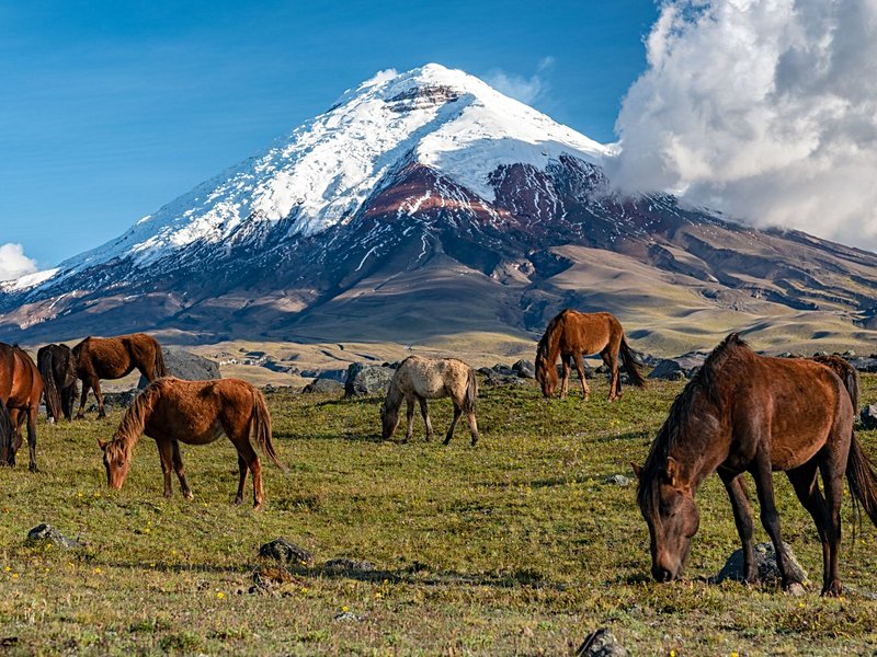 Cotopaxi