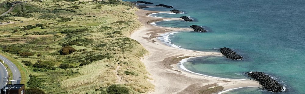 Grenen