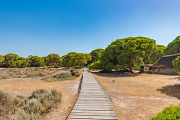Parc national de Doñana