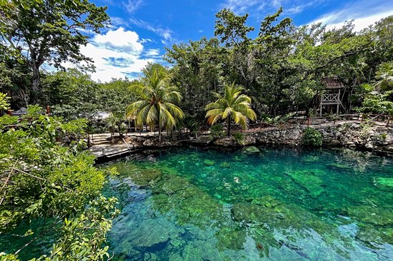 Les cenotes