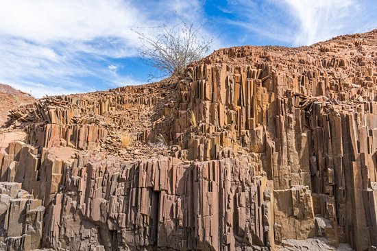 Organ Pipes