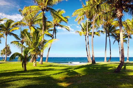 La plage de Grande Anse