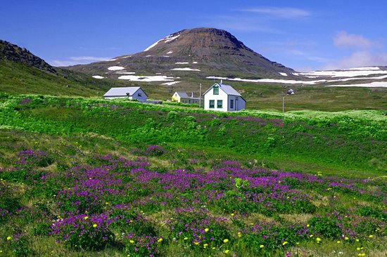 Hornstrandir
