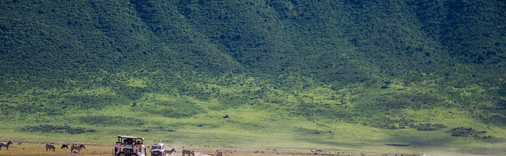 Faire un safari dans le cratère