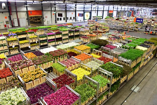 Marché aux fleurs d'Aalsmeer