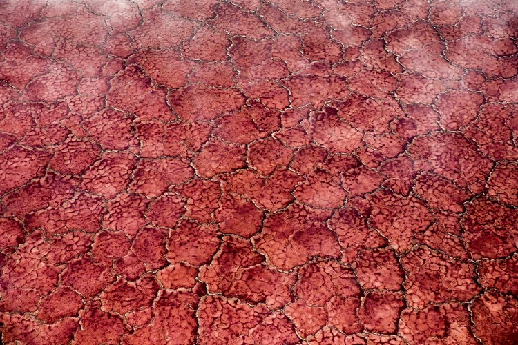 Le lac Natron - Tanzanie 3