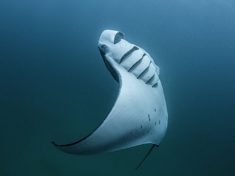 Baa Atoll