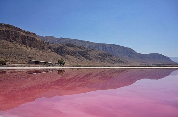 S'émerveiller devant le lac rose de Maharloo