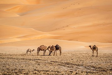 Désert de Liwa
