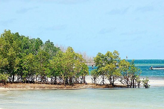Funzi island