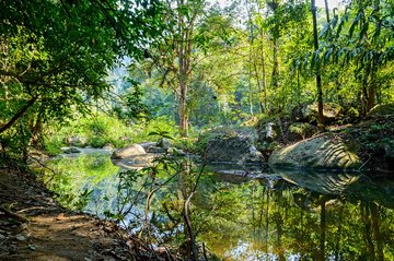 Parc national de Khao Sok : Chieo Lan Lake Trail (Khlong Pae)