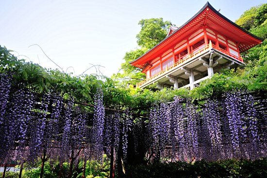 Sanctuaire de Yutoku Inari-jinja