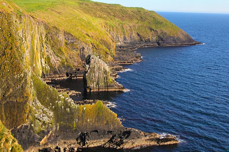 Old Head 3