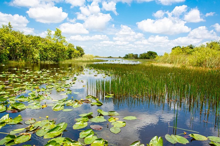 Floride 3