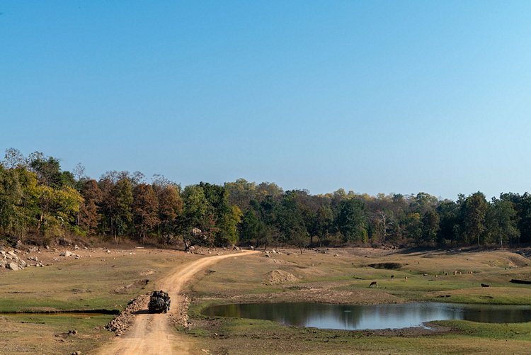 Les parcs du Madhya Pradesh 3