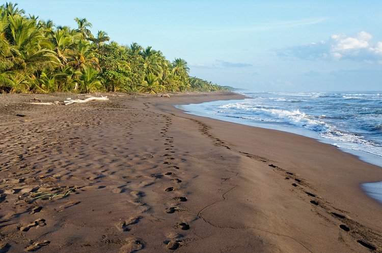 Le Parque Nacional Tortuguero 3