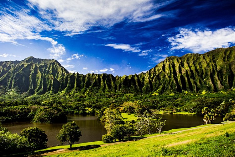 Ho Omaluhia Botanical Garden - Oahu